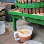 Apple Pressing 2016: in numbers apple-pressing-2016
