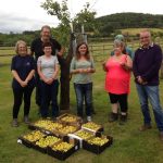 Food Group Festive Meeting & Social plum-glean