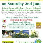 Elderflower Forage 2nd June 2018: Book your place now! Elderflower forage 2018