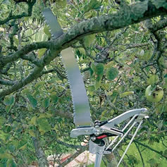 pole-pruning-saw