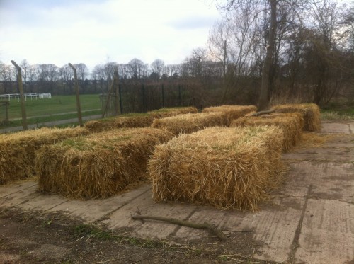 Straw bales ready for planting in.