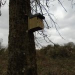 Gearing up for a new year at the Old North Stables Birdbox stables